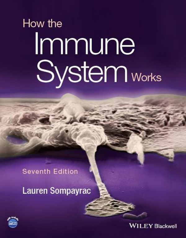 How the Immune System Works 7e 7th Edition